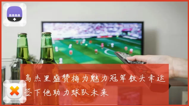 乌杰里盛赞梅为魅力冠军教头幸运签下他助力球队未来